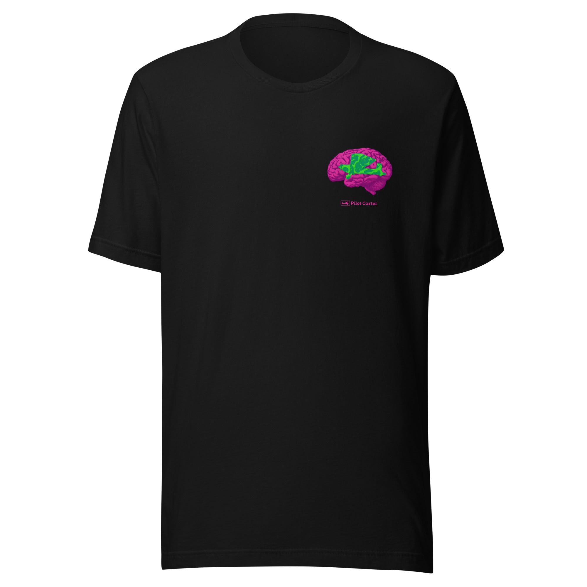 SKY BRAINS